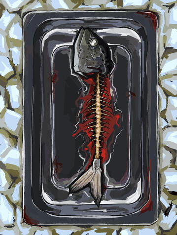 Editorial concept - environmental impact of organic food packaging